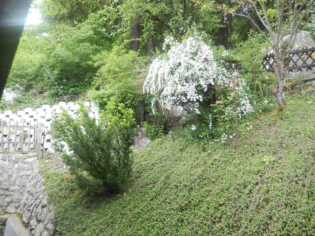 Ferienwohnung Kalchofen Boltigen エクステリア 写真